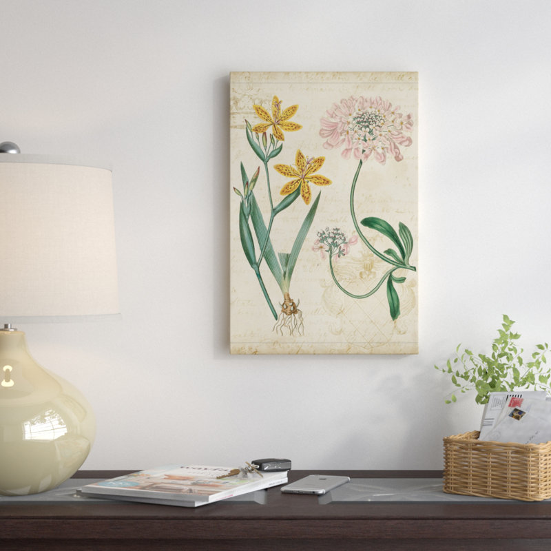 « botanique répertoire i », reproduction d’impression sur toile tendue, H 60 po x l 40po x P 1,5 po, Toile encadrée noire