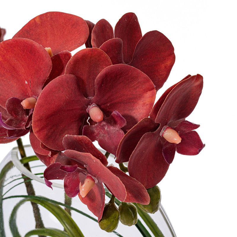 Arrangement floral orchidée en pot