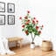 Arrangement-1975204038