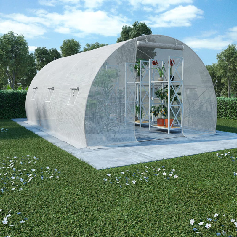 Winslet 118.1' W x 118.1' D Hobby Greenhouse, 78.7"H 177.2"W x 118.1"D, White