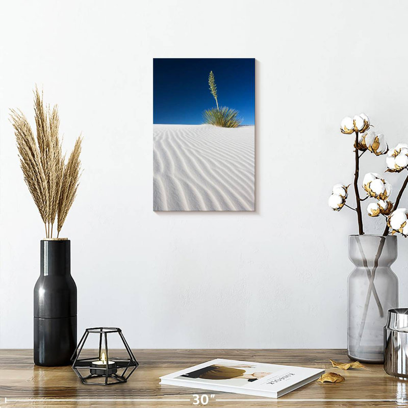 White Sands Park Yucca, 24" H x 16" W