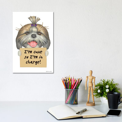 Shih Tzu, je suis mignon