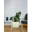 Pot de fleurs moyen en PVC mat blanc - pot léger pour plantes d'intérieur, décoration minimaliste moderne pour la maison et le bureau-675275193