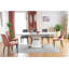 Starcher Extendable Dining Table