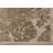 Rillito Beige Botanical Polyester Living Room Carpet-70380303