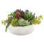 Agave, Succulent and Sedum Arranged in a Stone Pot