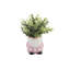Plante d'eucalyptus artificiel 5 "en pot