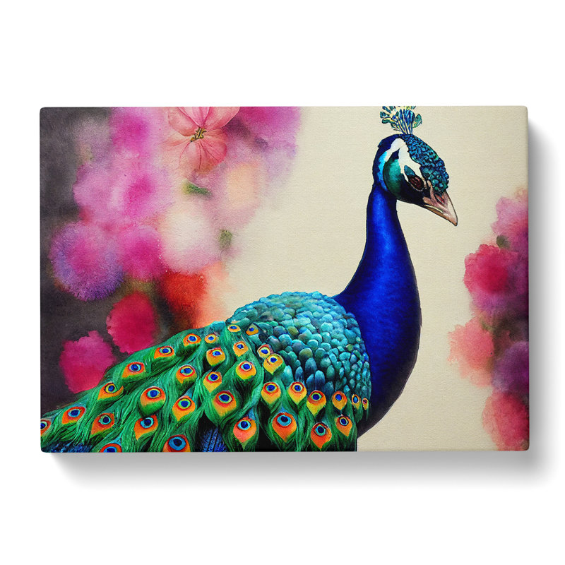 Peacock Watercolour - Wrapped Canvas Print, 35cm H x 50cm W x 3cm D