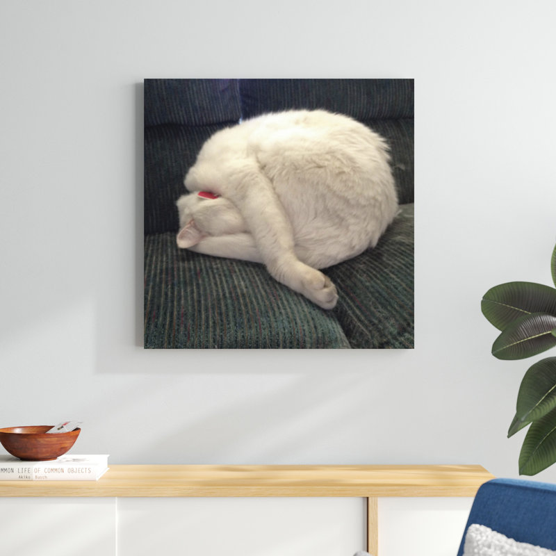 Cat Yoga I, H 30 po x l 30 po