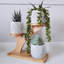 Support pour plante Idaline