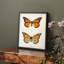 «Vintage Animal Print XXII», reproduction encadrée sur papier-796735715-796735713