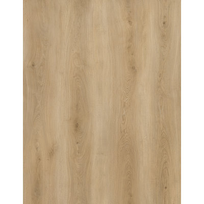 CITADEL 8MM 32MIL 9" X 48" PLATEAU DE SOL SPC DE LUXE À SYSTÈME DE CLIC - CHÊNE HARTWOOD
