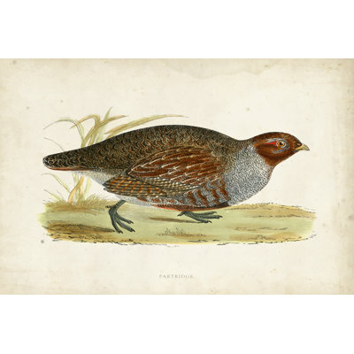 Morris Pheasants I 1 Piece Wrapped Canvas Wall Art