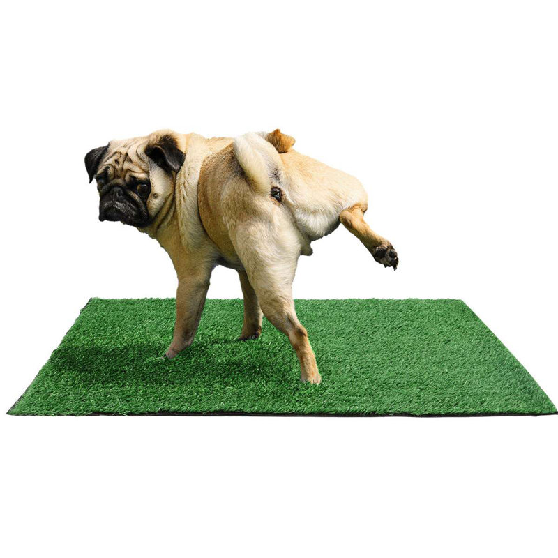 Coussin de dressage artificiel pour chiens et petits animaux de compagnie