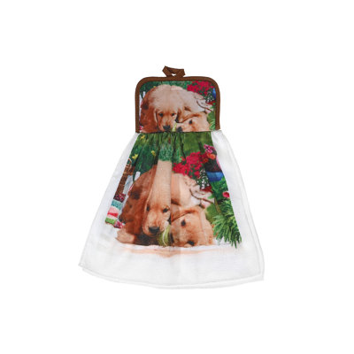 Chiens mâchant une balle