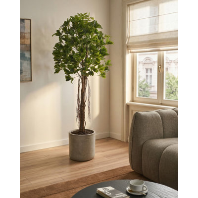 Artificial Plant UMBRELLA TREE 175 cm Green