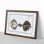 Flounder Fish by M.E. Bloch - Framed Print-55576382-55576381