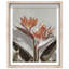 Coral Flower Shadowbox Floral & Botanical Print by Oliver Gal, Black Frame, 16 x 20-1733493764-1733493774