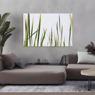 Gros plan sur une herbe à quenouilles, Typha Latifolia, paysage contemporain abstrait, art naturel