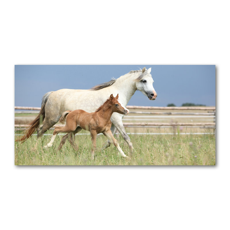 Mare With Foal - Wrapped Canvas Print
