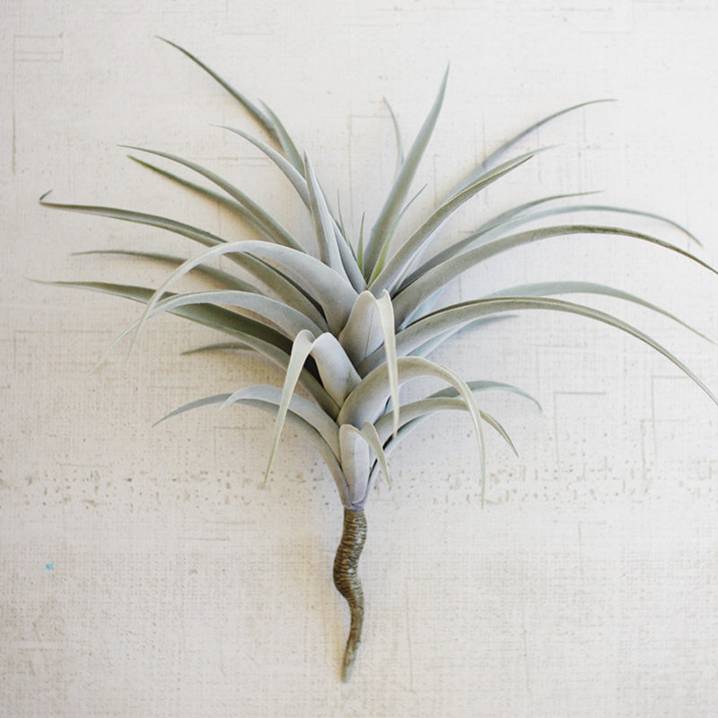 Ensemble de 4 plantes grasses artificielles vertes géantes H 17 po