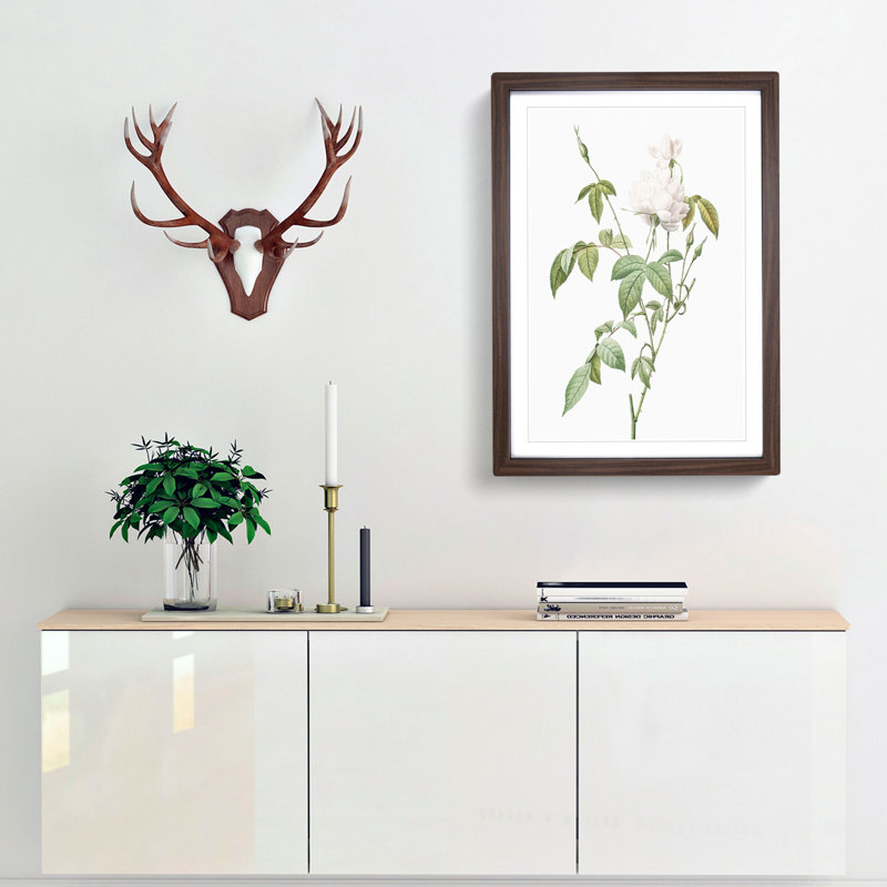 Bengal Rose in White by Pierre-Joseph Redoute - Framed Print, Walnut Framed, 63cm H x 45cm W x 2cm D