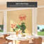 Semi Sheer Bamboo Roman Shade-26911237