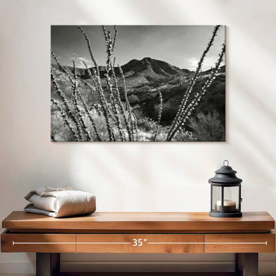 McDowell Mountain Ranch