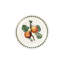 Pomona 6 Piece Dinner Plates Set