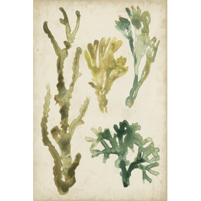 Vintage Sea Fronds V by June Erica Vess - Painting on Canvas
