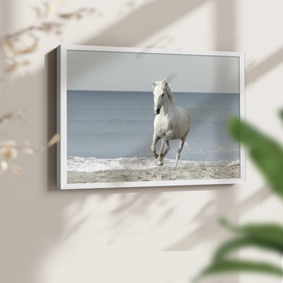 Cheval de plage de Camargue - reproduction encadrée - réarmable