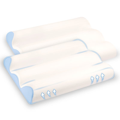 2 Pack Ergonomic Contour Memory Foam Cervical Pillow, Neck Support Pillow for Side and Back Sleepers, Relief for Neck and Shoulder Pain