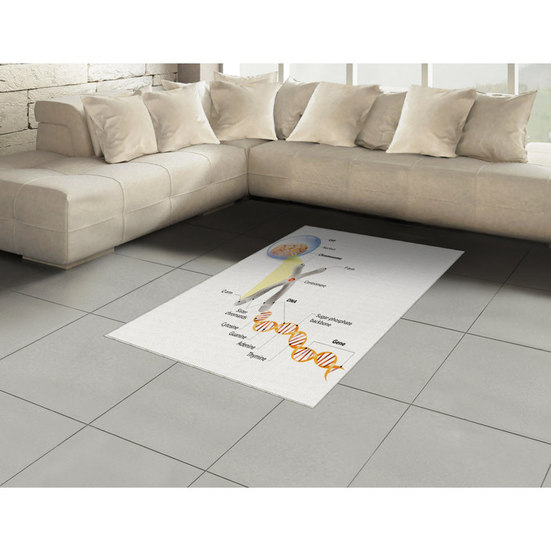 Tapis décoratif à longues fibres en fibres à haute densité Science, Rectangle 2 pi 7 po x 5 pi