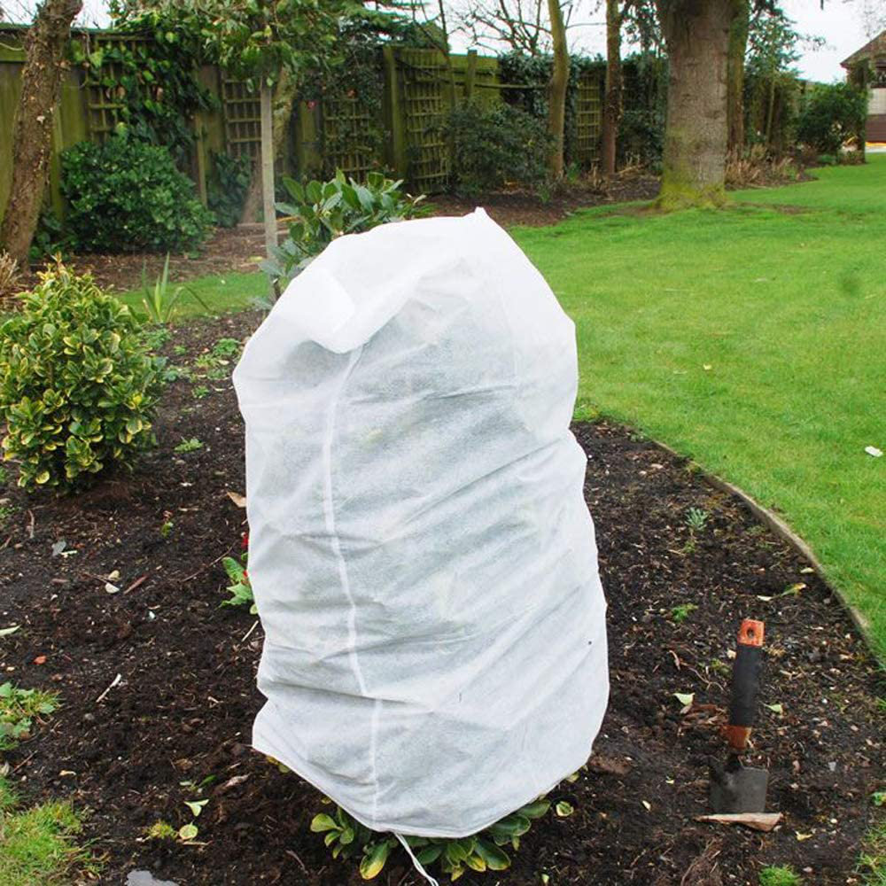 Adhiraj Plant Support Arlmont & Co. 