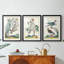 Oiseaux pastel I - impression encadrée de qualité supérieure sur mesure mat - 3 pièces-1413886608-1413886610