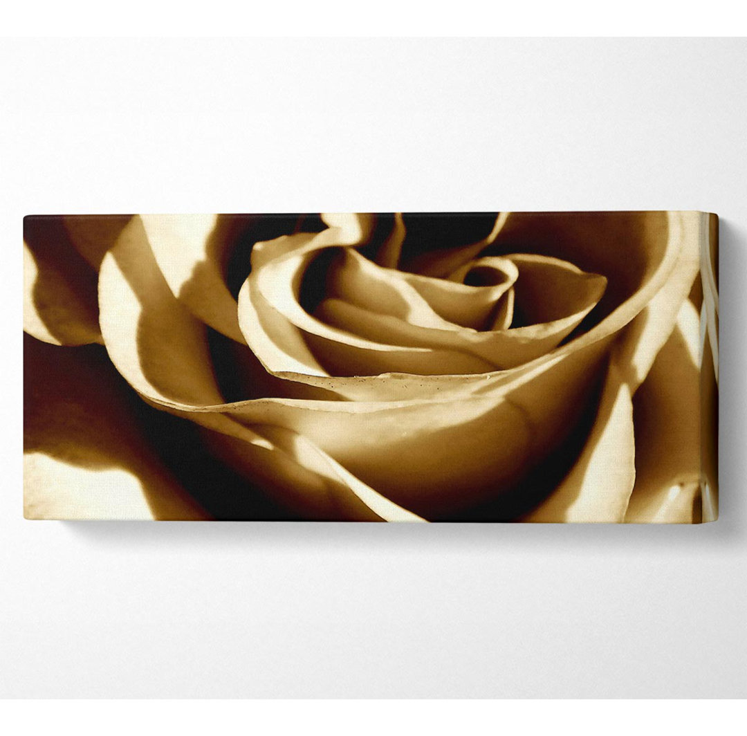 Sepia Rose - Kunstdrucke auf Leinwand - Wrapped Canvas