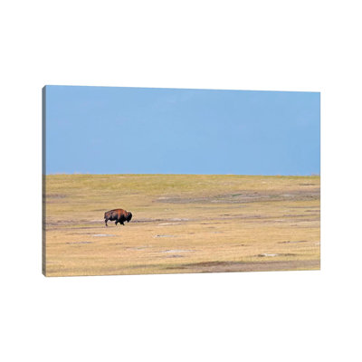 Solitary by Brian Wolf - Wrapped Canvas Print