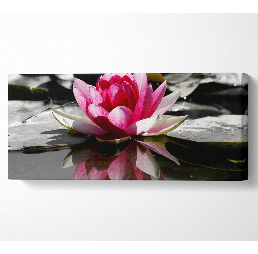 Pink Water Lily Reflections B N W - Leinwanddrucke auf Leinwand