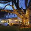10000cm Solar Powered 800 - Bulb Cord String Light-1219641217-1219641219-1219641223