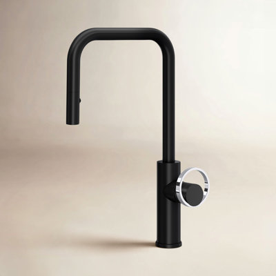 AllModern Linwood Pull Down Kitchen Faucet