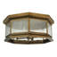 4 - Light Flush Mount