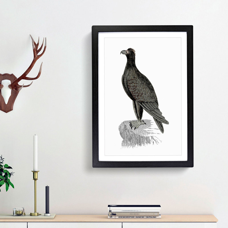 Mountain Eagle Illustration - Framed Print, 36cm H x 27cm W x 2cm D, Black Framed