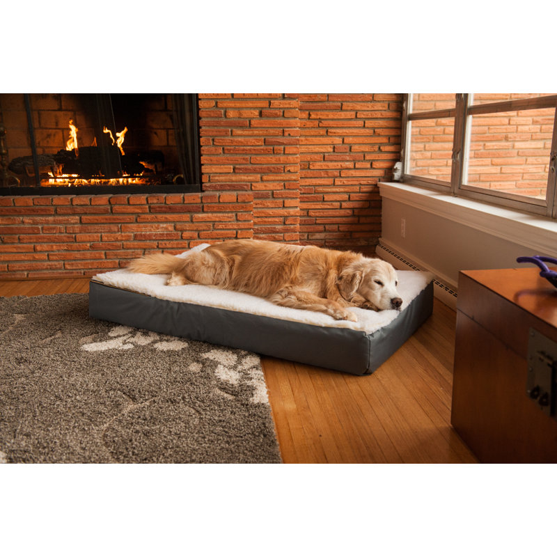 Coussin pour chien Snoozer, Très grand (l 54 po x P 36 po x H 7 po), Noisette avec sherpa crème