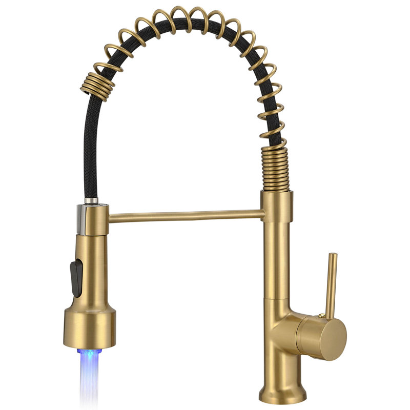 FLG Pull Down Kitchen Faucet