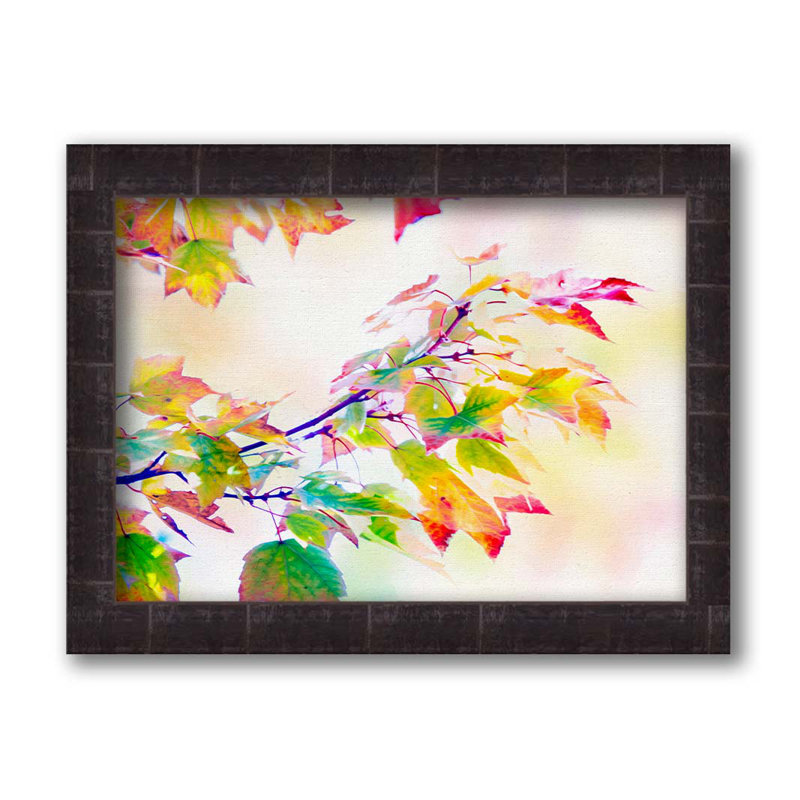 Couleurs d'automne par Hal Halli. Impression sur papier - Montée et encadrée avec de l'acrylique transparent, taille de l'image