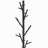 Black Coat Rack With 18 Hooks