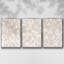 Earth Earth I - ensemble de 3 cadres flottants sur toile-97794682-97794684