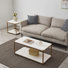Minimalist Coffee Table & Side Table Set