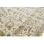 Walton Oriental Area Rug