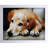White Picture Frame